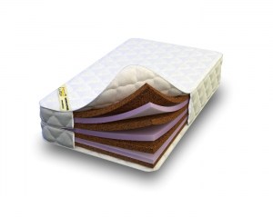 Medium hard econom Baby 158